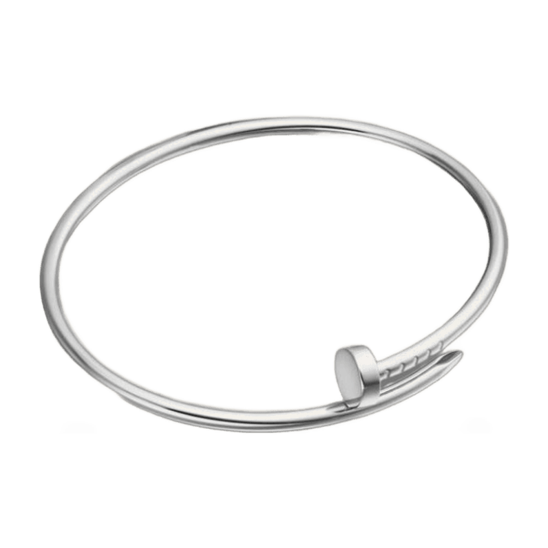Cartier Juste Un Clou Prata
